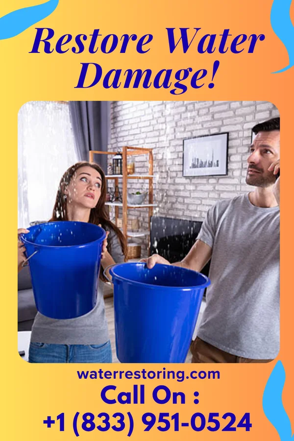 water restoration Imperial Flood Cleanup Company Excel